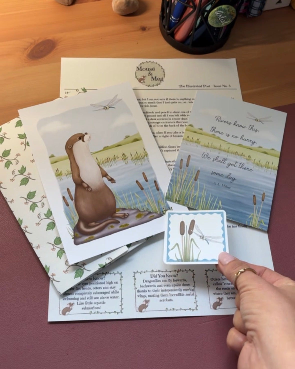 The Illustrated Post from Mouse & Meg - Archive Edition - June 2026
